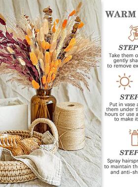 Natural Plant Dried Pampas Grass Bouquet Boho Reed Dried Flo