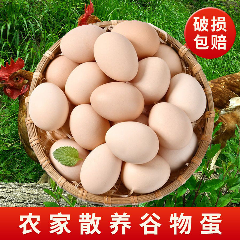 芮瑞农家散养土鸡蛋20枚