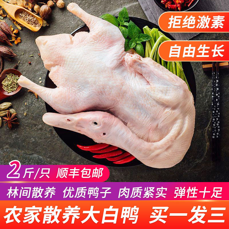 3只农家散养土鸭嫩鸭大白鸭子水鸭肉2斤整只新鲜生鲜非冷冻鸭顺丰