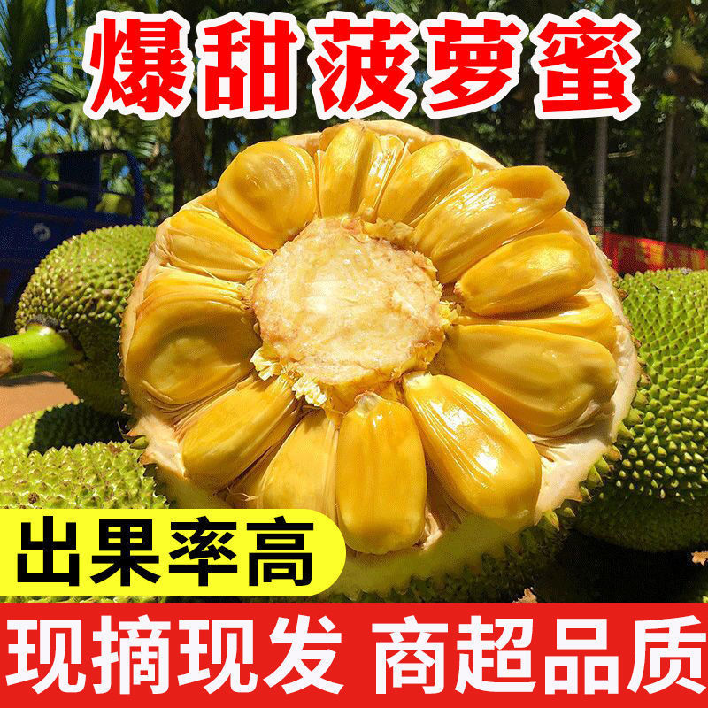 【爆甜】正宗海南菠萝蜜当季新鲜热带水果干苞波罗蜜木菠萝整个卖
