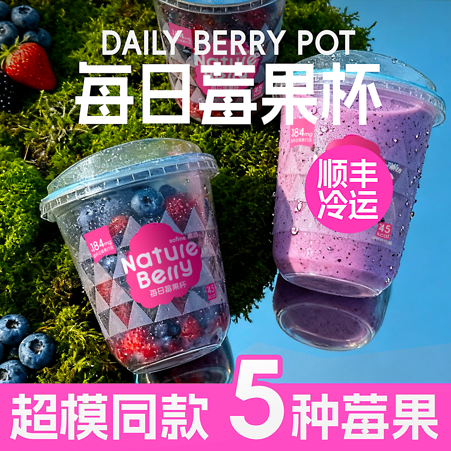 素坊莓果杯奶昔杯酸奶碗配料