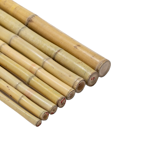 防腐竹竿2米竹子室内装饰竹竿棍长竹杆菜园搭架户外隔断挡墙篱笆