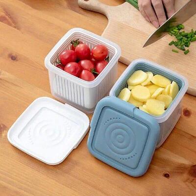 Thick Plastic Sealed Double Layer Fridge Storage Box