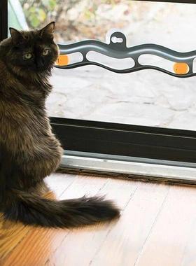 Cat Windowsill Toy Wall Toy Cat Track Ball Toy Cat Sucker Ba