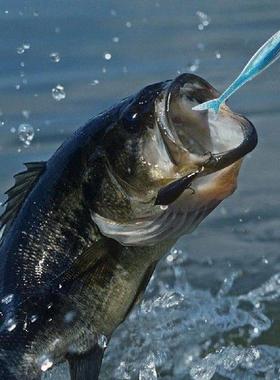 2Pcs Fishing Lures Shad Bait Soft Lure Soft Bait Artificial