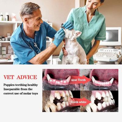 Dog Toys For Small Dogs Indestructible Dog Toy Teeth Cleanin