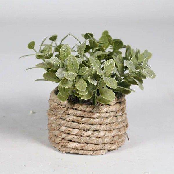 Green Artificial Potted Plant Eucalyptus Grass 11cm