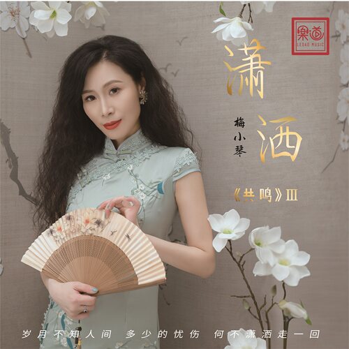 梅小琴《潇洒》车载U盘/DSD/HQ/HQII/UHQ+MQA/24K金碟/1:1CD/LP