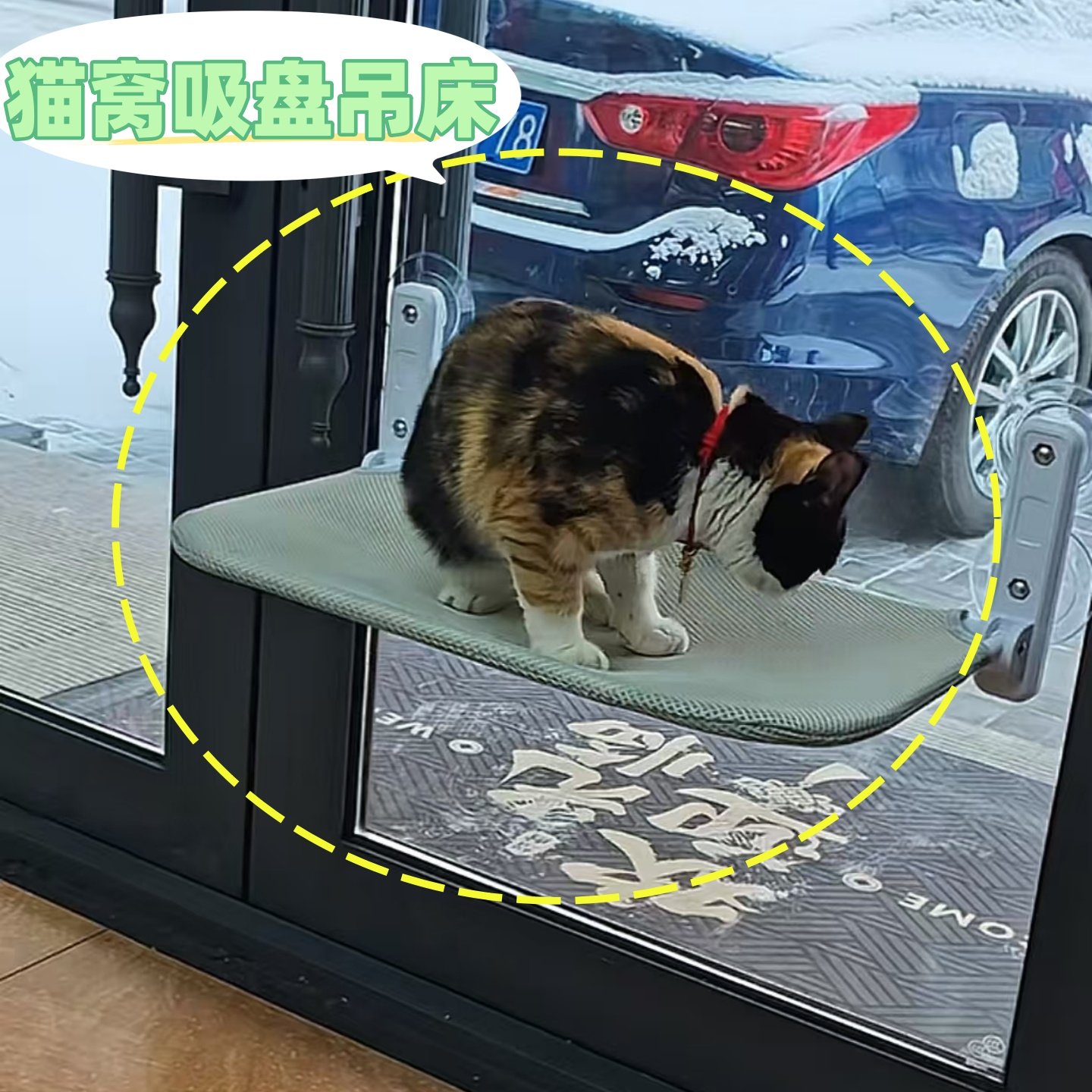 猫吊床窗户吸盘挂窝猫晒太阳挂床阳台猫窝冬季吸盘式玻璃猫床用品,宠物/宠物食品及用品,猫窝/屋/帐篷/沙发,淘宝优惠券,粉丝福利购,淘宝优惠卷