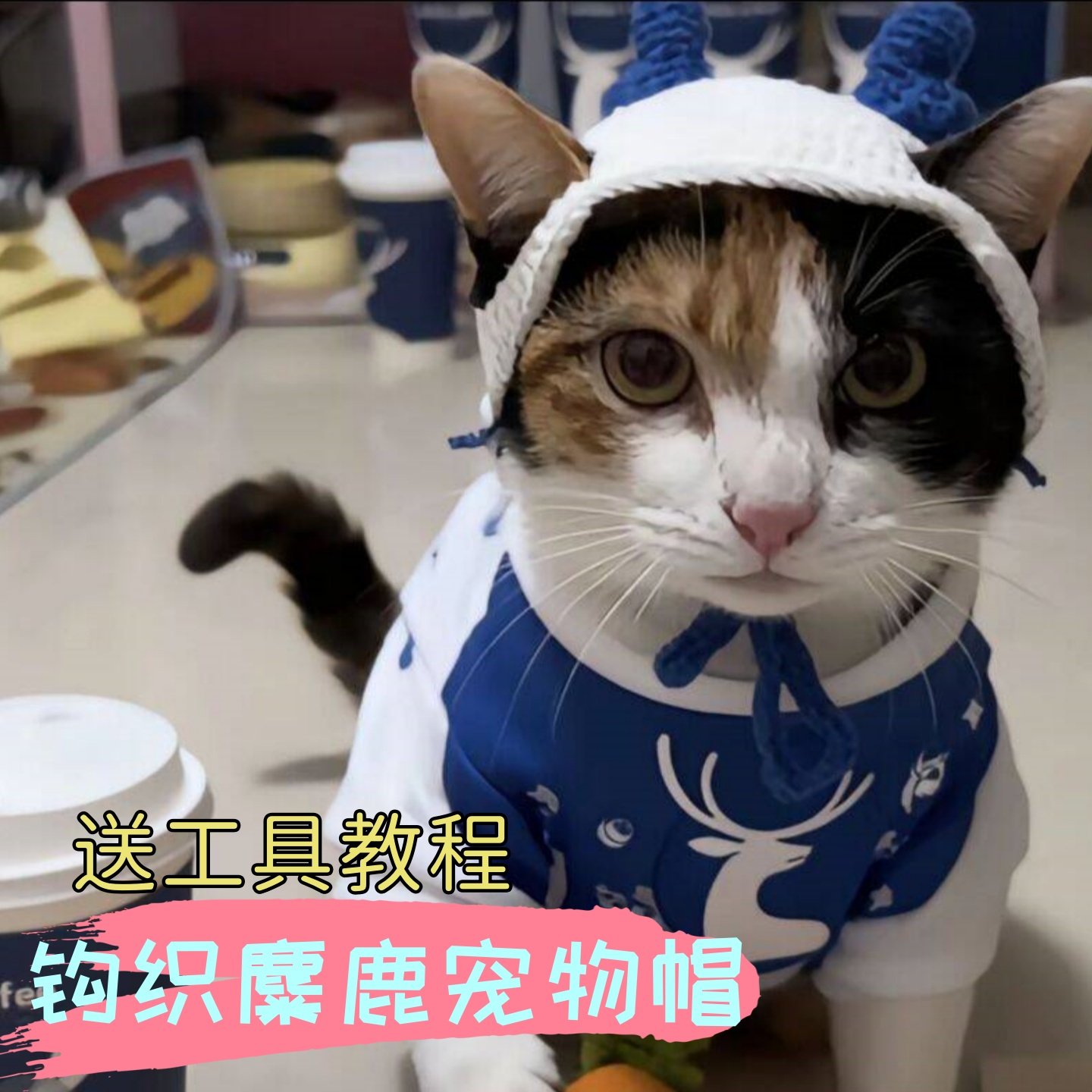 抖音大开门同款宠物猫咪帽子朱迪同款项圈围脖手工diy钩织材料包,服饰配件/皮带/帽子/围巾,DIY编织材料包,淘宝优惠券,粉丝福利购,淘宝优惠卷