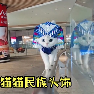 广西壮族三月三猫猫民族头饰民族服饰苗族壮族少数民族狗狗宠物服