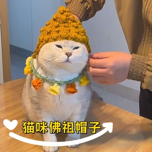 宠物狗狗猫咪佛祖唐僧猪八戒帽子露耳朵头套毛线帽变装 道具头饰