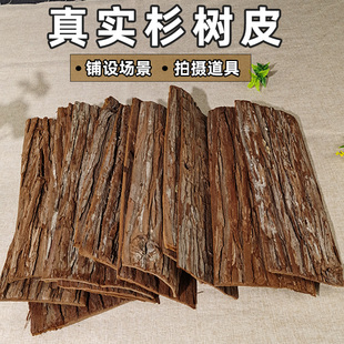 杉树皮真树皮庭院园艺覆盖物农家乐复古造景搭建装饰包装拍摄道具