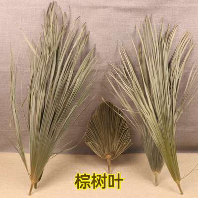榈树叶包棕子棕编材料捆绑绳子