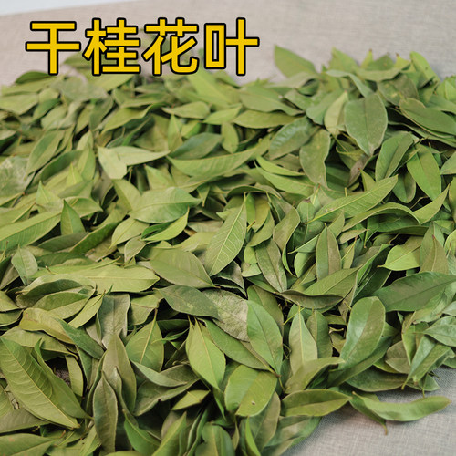干桂花叶装饰叶子布景摄影道具