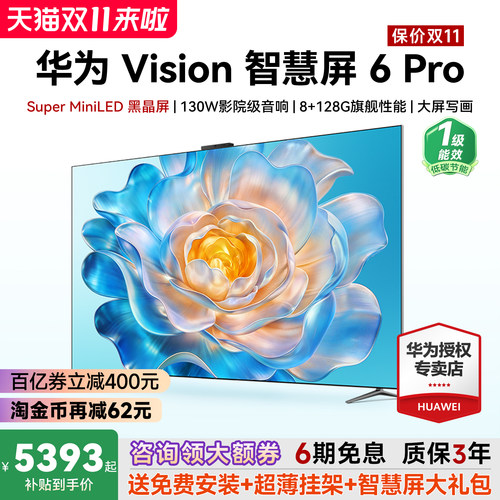 包安装+超薄挂架！Vision6Pro