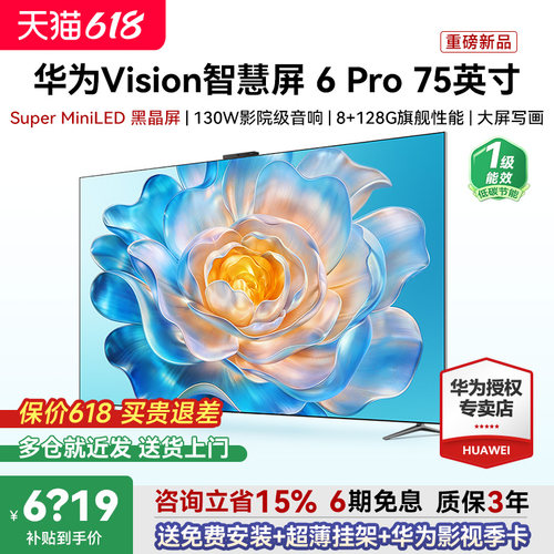 包安装+超薄挂架！Vision6Pro