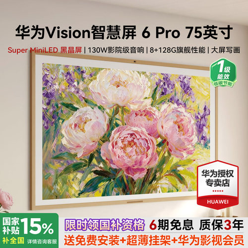 包安装+超薄挂架！Vision6Pro