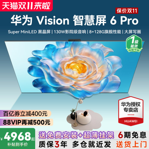 包安装+超薄挂架！Vision6Pro