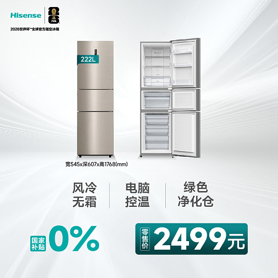 Hisense/海信 BCD-222WTDG/A家用冷藏冷冻小型租房宿舍节能电冰箱图片