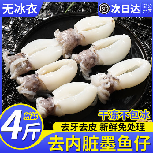 舟山墨鱼仔生鲜冷冻小墨鱼免处理