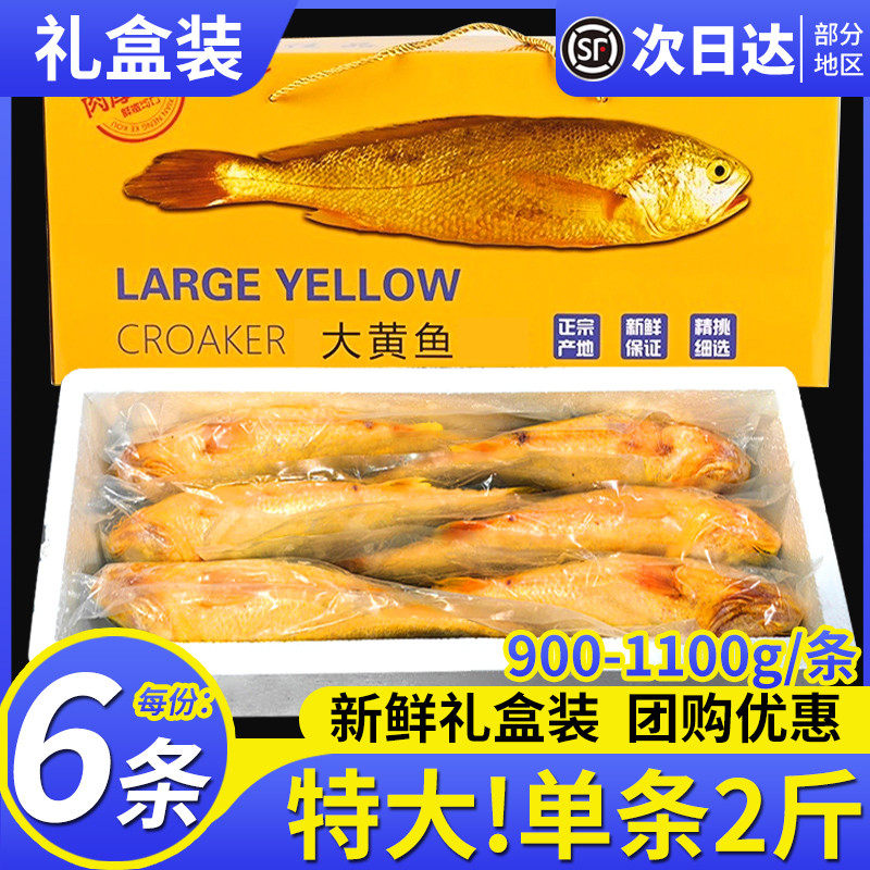 6条舟山特大黄鱼礼盒海鲜年货大礼包礼盒过年送礼新鲜深海黄花鱼,水产肉类/新鲜蔬果/熟食,黄鱼,淘宝优惠券,粉丝福利购,淘宝优惠卷