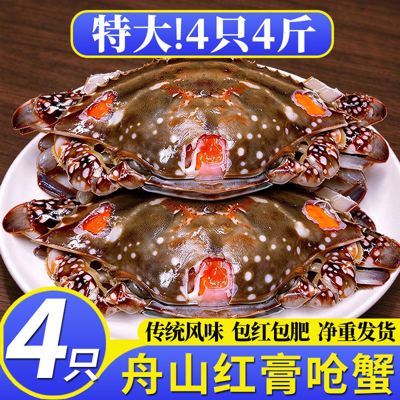 红膏呛蟹飞机红膏蟹咸蟹舟山宁波特产生腌螃蟹红膏梭子蟹生炝母蟹