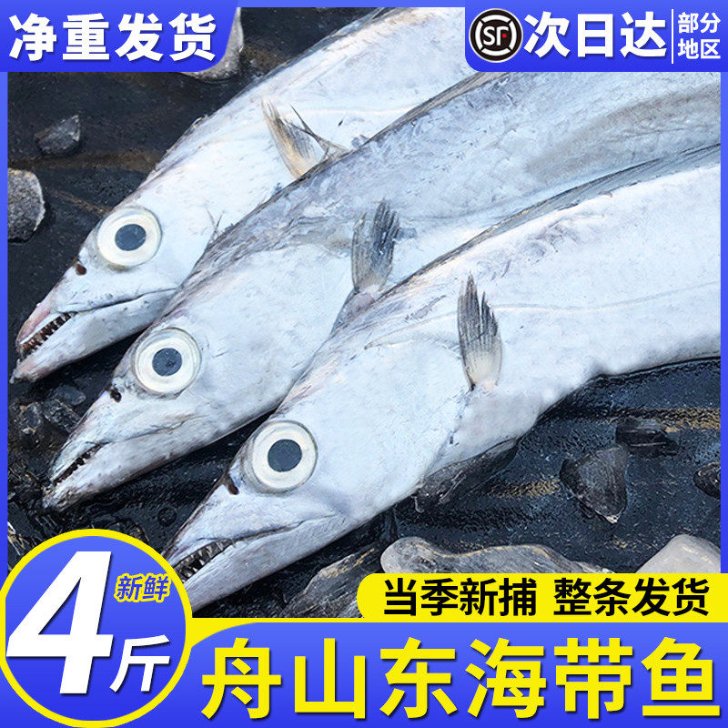 4斤4条特大舟山雷达网带鱼小眼睛