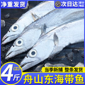 舟山特大带鱼整条新鲜冷冻鲜活海鲜水产东海雷达网小眼睛大带鱼级