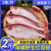 2斤新鲜大眼鸡鱼海捕红目鲢鲜活冷冻海鲜水产红目鳞鱼商用2条 斤