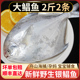 鲳鱼新鲜冷冻银鲳鱼特大白鲳鱼舟山东海鲜活海鲜水产大鲳鳊鱼昌鱼