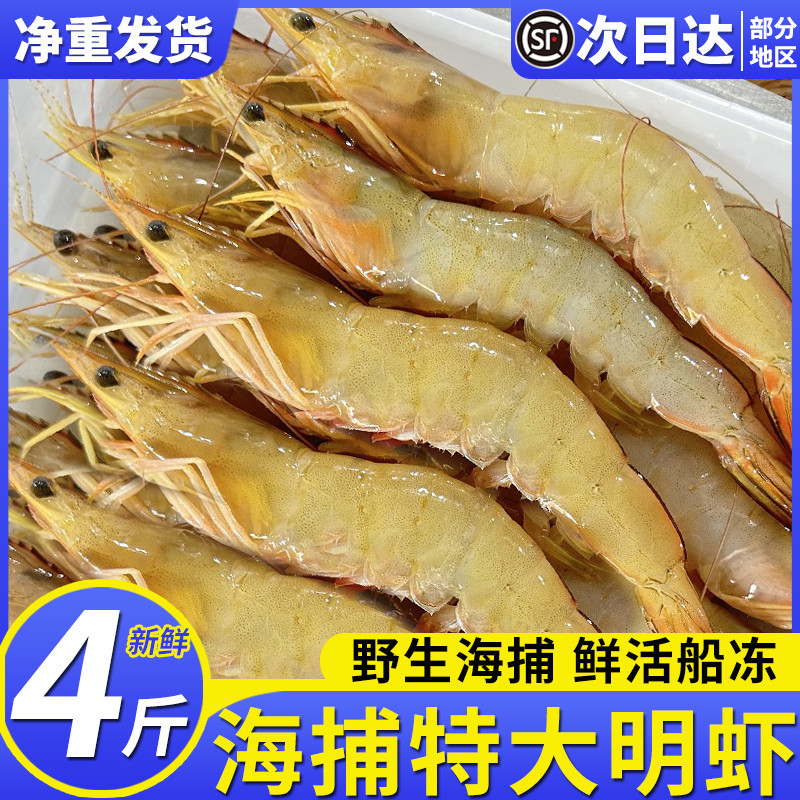2斤特大明虾鲜活速冻新鲜冷冻