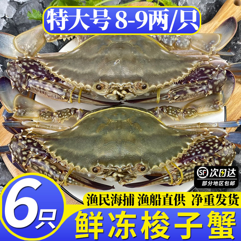 特大梭子蟹公蟹野生大螃蟹白蟹冻蟹新鲜冷冻肉蟹急冻舟山宁波顺丰
