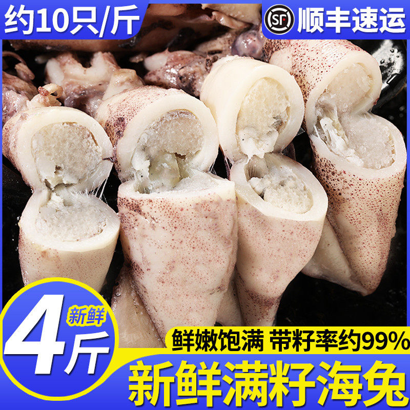 海兔子满籽海兔新鲜冷冻带籽笔管鱼全籽籽乌商用批发净重不缩水