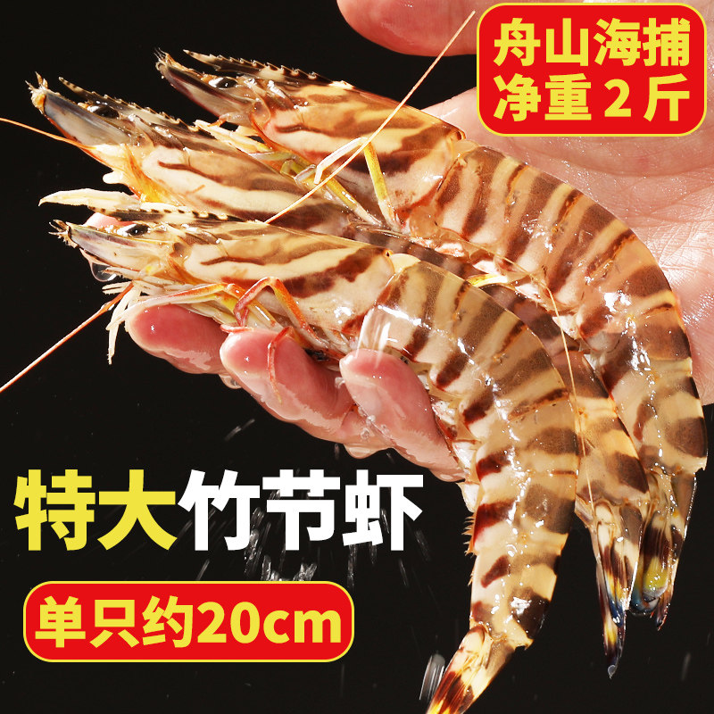 特大竹节虾鲜活斑节虾超大九节虾野生海捕新鲜速冻大虾冷冻基围虾