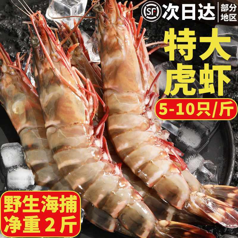 特大老虎虾活冻红虎虾新鲜大虾鲜活冷冻超大黑虎虾鲜活速冻海虾