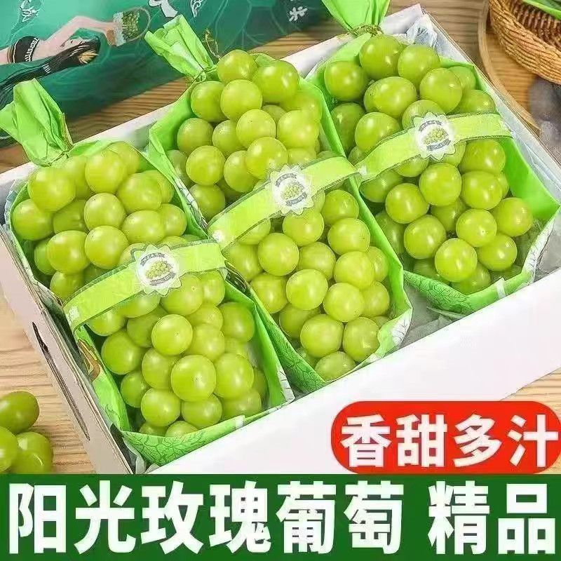 大果阳光玫瑰葡萄无籽