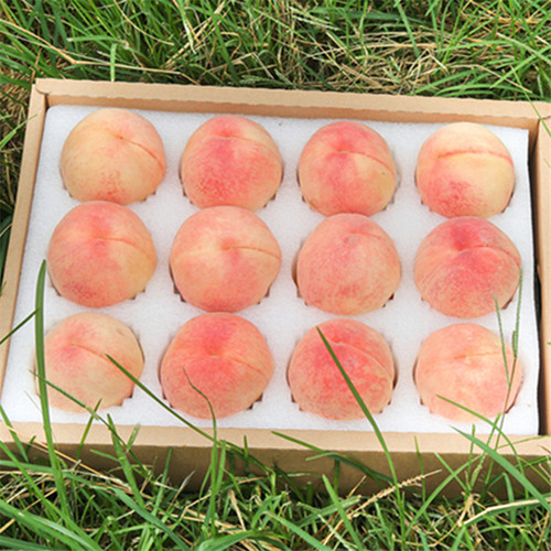 新鲜水果现摘现发正宗无锡水蜜桃应季蜜桃血桃黄毛桃