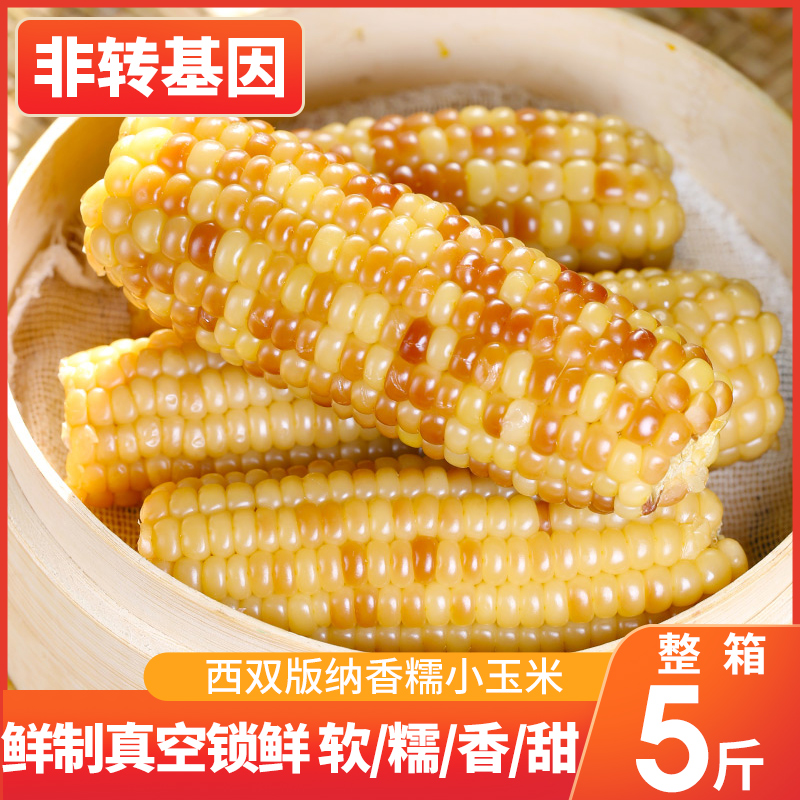 云南西双版纳小花糯玉米整箱5斤