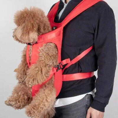 Great Pet Bag Thickened Sponge Pet Carrier Comfortable to
