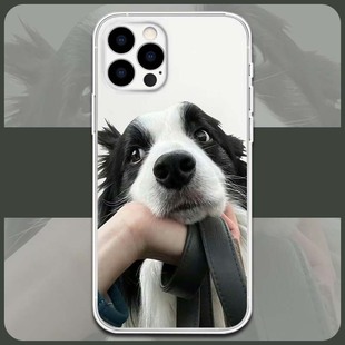 可爱边牧适用于iPhone17pro/17Air16/15/15proreno14/真我Q3Sp70/Nova9se15