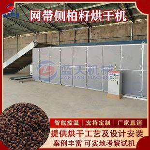 连续式侧柏籽烘干机 柏树籽柏子壳柏树叶烘干设备 侧柏种子干燥机