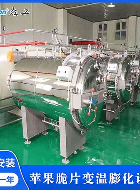 苹果脆片变温膨化设备 不锈钢真空非油炸果蔬脆小零食膨化设备