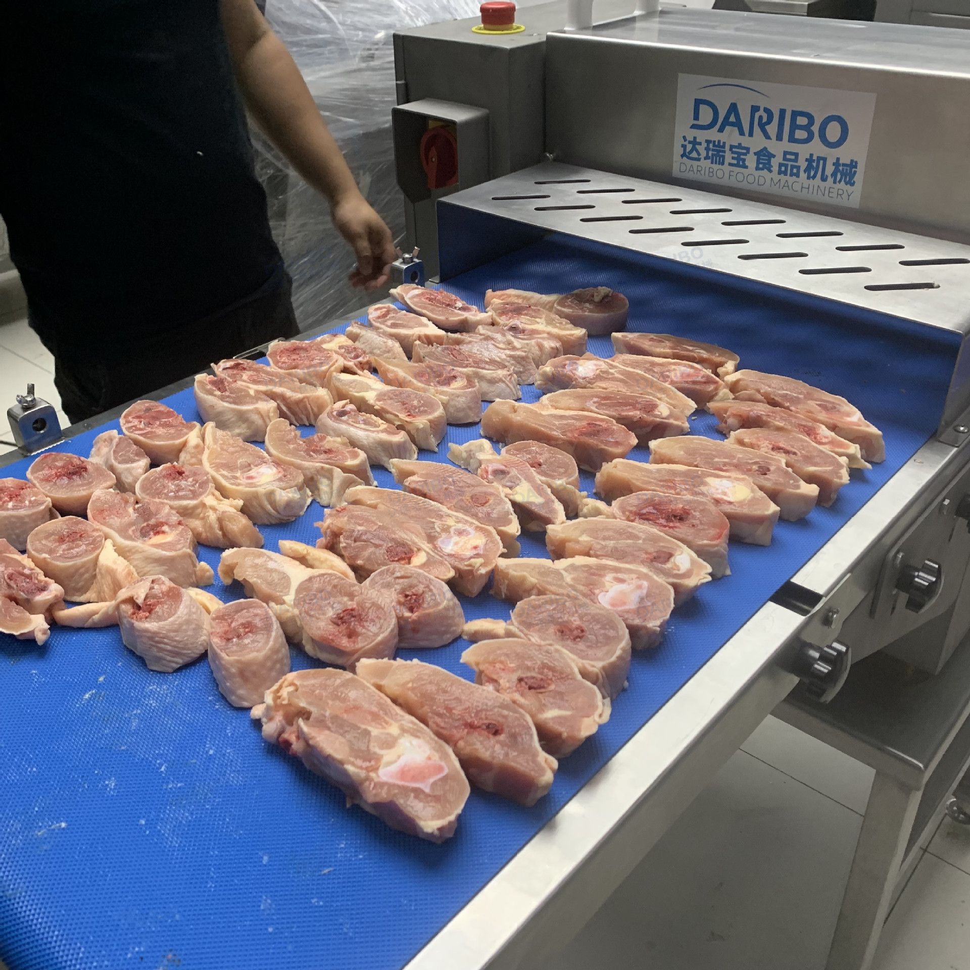 l新鲜整鸡分块机 微冻牛腩切块机 鱼肉切圈机 鸡边腿鸭腿切块设备