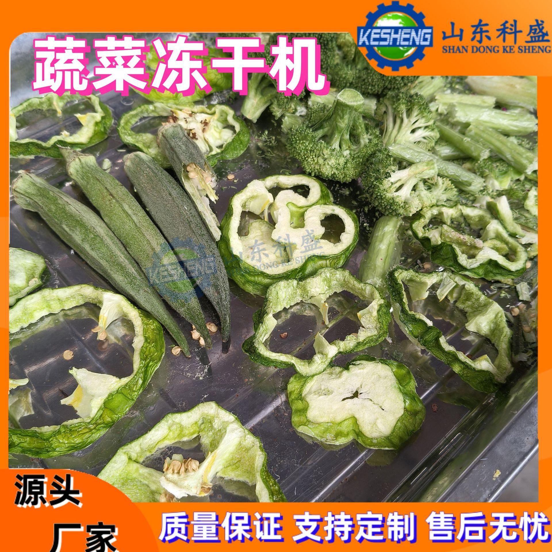 真空冻干机 果蔬脆真空冷冻干燥机 秋葵南瓜真空冻干机