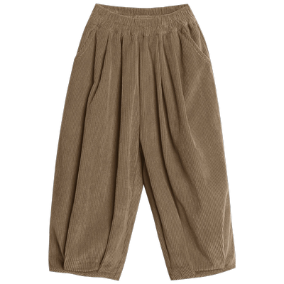 男童裤子秋冬2025冬装新款儿童灯芯绒哈伦裤中小童加绒长裤灯笼裤