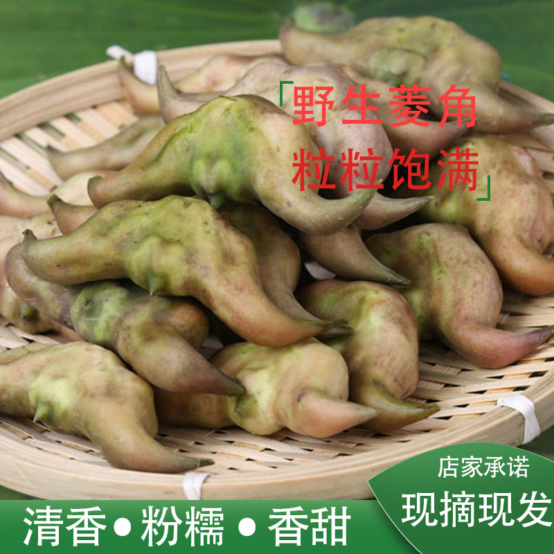 洪湖菱角新鲜包邮粉糯香甜营养