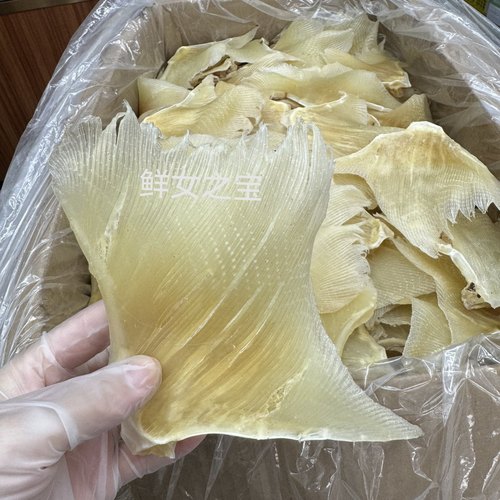 深海大号海狗翅浦鱼翅干货天星肉翅天九翅海产品干货煲汤料500g