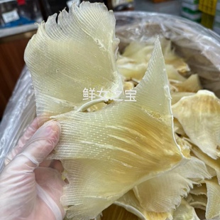 深海大号海狗翅浦鱼翅干货天星肉翅天九翅海产品干货煲汤料500g