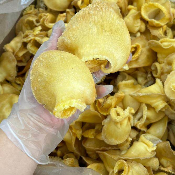 约25头鲍翅 海鲜煲汤提鲜料 佛跳墙食材 鮰鱼翅 250g